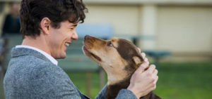 Heartwarming tale of ‘A Dog’s Way Home’